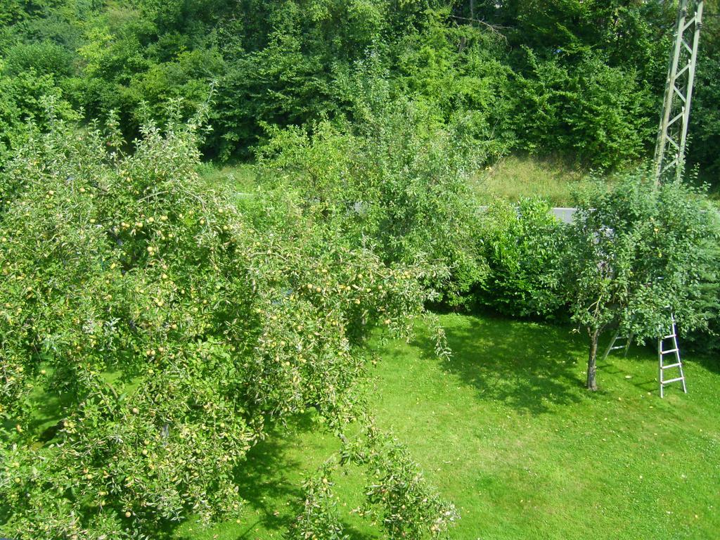 Ferienwohnung Leichlingen Habitación foto